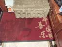 丰亮地垫入户门垫脚垫马年2026新款高端门口进门地毯脚踏垫防滑垫 实拍图