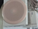 得力（deli）13W无线领夹小蜜蜂扩音器蓝牙音箱音响防啸叫U盘喇叭麦克风导游户外讲课升级款教师生日礼物 实拍图