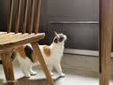 滴露（Dettol）免洗洗手液经典松木200ml 儿童家庭 99.99%抑菌杀菌消毒凝胶 实拍图