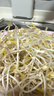 京严【当天送达】家用豆芽机全自动洒水三层大容量增压发豆芽多功能智能绿豆黄豆芽苗发芽机泡豆生芽 自动洒水 三层大容量+遮光罩 实拍图