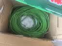 七鲜24小时富硒绿豆芽 200g 实拍图