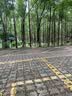 巧膳臣dha藻油帝斯曼藻油ARA补脑儿童青少年孕妇眼脑语言发育正品旗舰店 【成长周期装】巧膳臣DHA藻油 60粒*3盒 实拍图