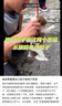 沃特堡（wartburg）奥地利进口 原味涂抹奶油奶酪150g*2/两盒 涂抹奶酪 实拍图