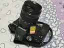 闪迪（SanDisk）128GB SD内存卡 4K V30 U3 C10 相机存储卡 读速180MB/s 写速90MB/s 高速连拍 微单/单反相机 实拍图