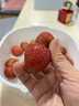 小熊（Bear）无线便携榨汁杯 家用果汁机小型多功能果蔬料理 可碎冰304不锈钢刀自动清洗LLJ-F03B5 实拍图