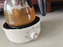 【京东物流】电热炉家用煮茶炉小型电磁炉暖茶新款加热温茶炉静音电陶炉煮茶炉 湖绿色【不挑壶具】快速煮水 实拍图