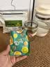 西知堂话梅油杆薄荷茶200g去油解腻夏季冻干油柑果茶独立袋装 实拍图