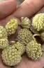 福茗源养生茶 绿萝花茶叶 特级品质西藏绿萝花结香花茶雪丽花茶滋补250g 实拍图