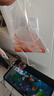 金鱼草金鱼观赏鱼冷水好养耐活小鱼苗锦鲤 5-7cm 红草金买10条送10条（加备损） 实拍图