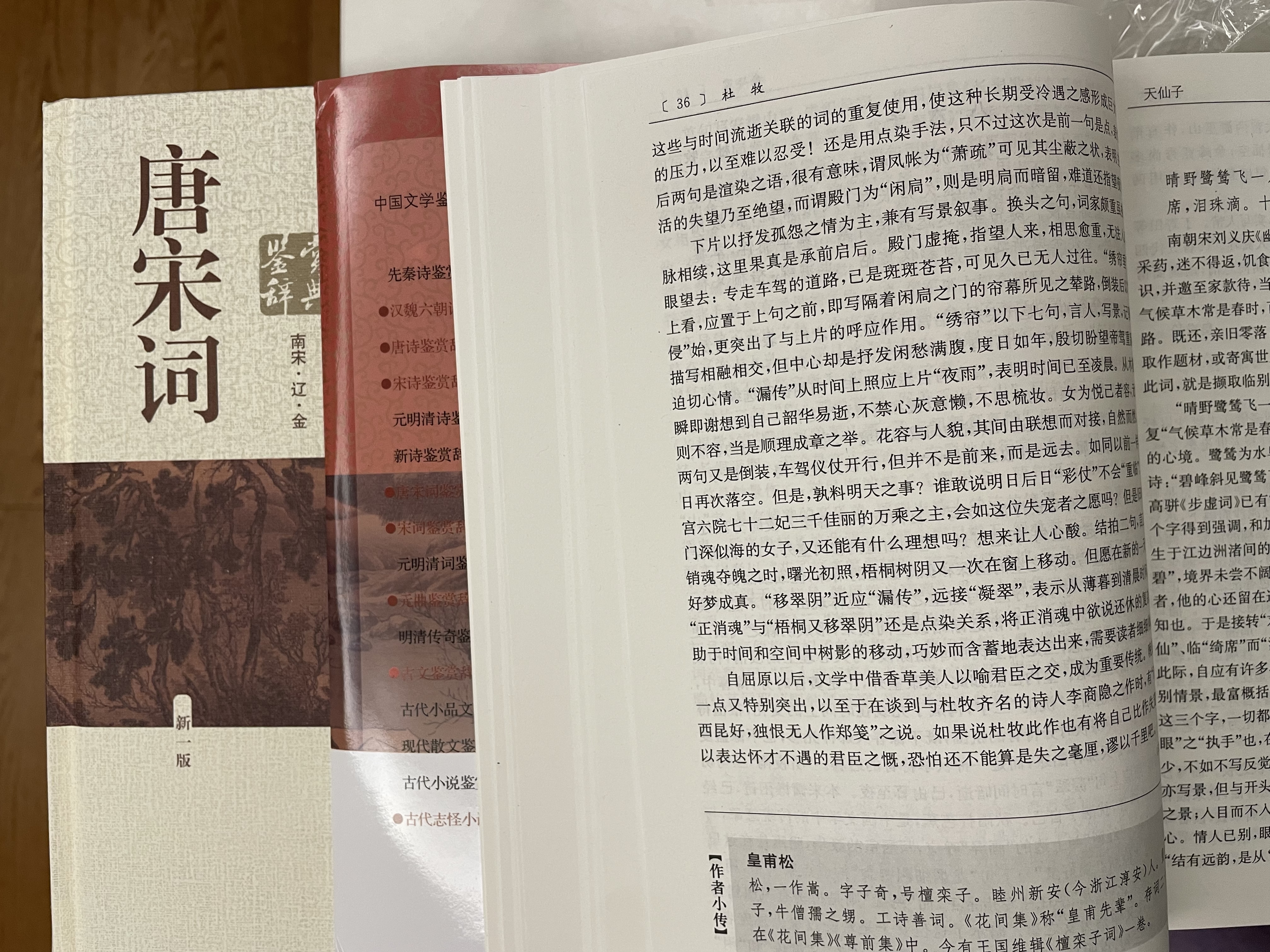 唐宋词鉴赏辞典（新一版）套装共2册 小说 实拍图
