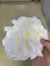 Creative art沐浴球浴花超大超柔软 搓澡巾男女搓澡洗澡神器起泡网洗浴球澡花 实拍图