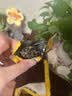 老金磨方金黄亚麻籽150g滋补零食五黑丸坚果糕点点心休闲健康零食 实拍图