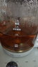 小熊（Bear）纯钛养生壶 喷淋式煮茶器 煮茶泡茶壶 0胶水 1.5L大容量 保温烧水一体 ZCQ-K15J3 实拍图