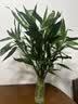 富贵竹水培植物室内招财绿植插瓶插花净化空气办公桌面转运竹 富贵竹65cm5支 实拍图
