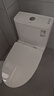 九牧（JOMOO）11173-2-1/31KD-3大力神家用马桶虹吸抗菌节水洁具305坑距 实拍图