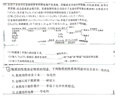 迪士尼（Disney）包包女2026新款高级感轻奢小众女士斜挎包实用生日礼物送女友 实拍图