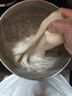 康佳（KONKA）厨师机家用小型多功能面粉奶油搅拌机和面机全自动揉面机商用电动打蛋器多功能活面料理机家庭烘焙 5L 蓝色【基础款】1200W 实拍图