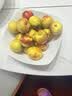苏泊尔果蔬净化机 食材净化器升级新水果多功能清洗器 蓝光杀菌去农残无线便携式洗菜清洗机 绿【顶配新品GS50】一键净农残去激素细菌重金属 实拍图