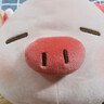 名创优品（MINISO）小猪B-BO弹力超柔趴姿公仔毛绒玩偶儿童玩具抱枕靠枕生日礼物女 实拍图