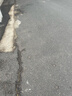 联想 二手显示器显示屏19 20 22 24寸台式液晶电脑监控炒股办公高清液晶二手显示器 9成新 戴尔 方正随机发 19寸显示器 实拍图