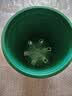花盆绿植盆栽加厚塑料简约多肉小盆阳台客厅月季玫瑰大号家用花盆 高款1加仑(口径16cm)2个盆 配套托盘 实拍图