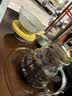 CLITON玻璃手冲咖啡壶带刻度分享壶滴漏式过滤网咖啡滤杯套装1-4人份 实拍图