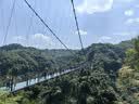 迁西鲜板栗2025年新生板栗大颗粒特选栗子新鲜例子甜栗子河北唐山特产 去皮板栗仁 净重 200g *2袋 实拍图