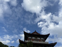 TEEIS德国护膝夏季薄款保暖关节炎半月板损伤男女士专用运动防护老寒腿 蚕丝透气防滑护膝 均码丨80-180斤通用 丨两只装 实拍图