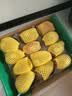 佳沛（zespri）新西兰 阳光金奇异果12粒特大果单果124-146g 猕猴桃水果礼盒 实拍图