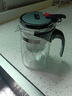 飘逸壶泡茶壶耐热高温玻璃沏茶过滤内胆冲茶器家用茶具套装 飘逸杯500mL1个 实拍图