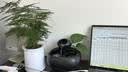 赟娅创意陶瓷自动流水招财摆件办公室桌面装饰茶几简约小鱼缸乔迁礼物 【静谧黑】含水泵+小石头 实拍图