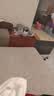 双星儿童凉鞋户外夏季网孔溯溪鞋透气跑步鞋中大童男童运动鞋 星蓝29 实拍图