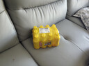 康师傅 冰红茶330ml*12瓶 柠檬红茶饮料饮品轻巧装整箱 热门商品 实拍图