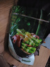 Member's Mark 有机板栗仁 1kg(10袋) 1kg 实拍图