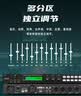 depushengX5专业KTV前级效果器数字音频处理器舞台家用唱歌会议家庭卡拉OK混响器混音器防啸叫带遥控带软件 实拍图