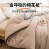 无印良品A类100%新疆棉花被子 单人学生宿舍冬季加厚棉被芯 6斤150*200cm 实拍图