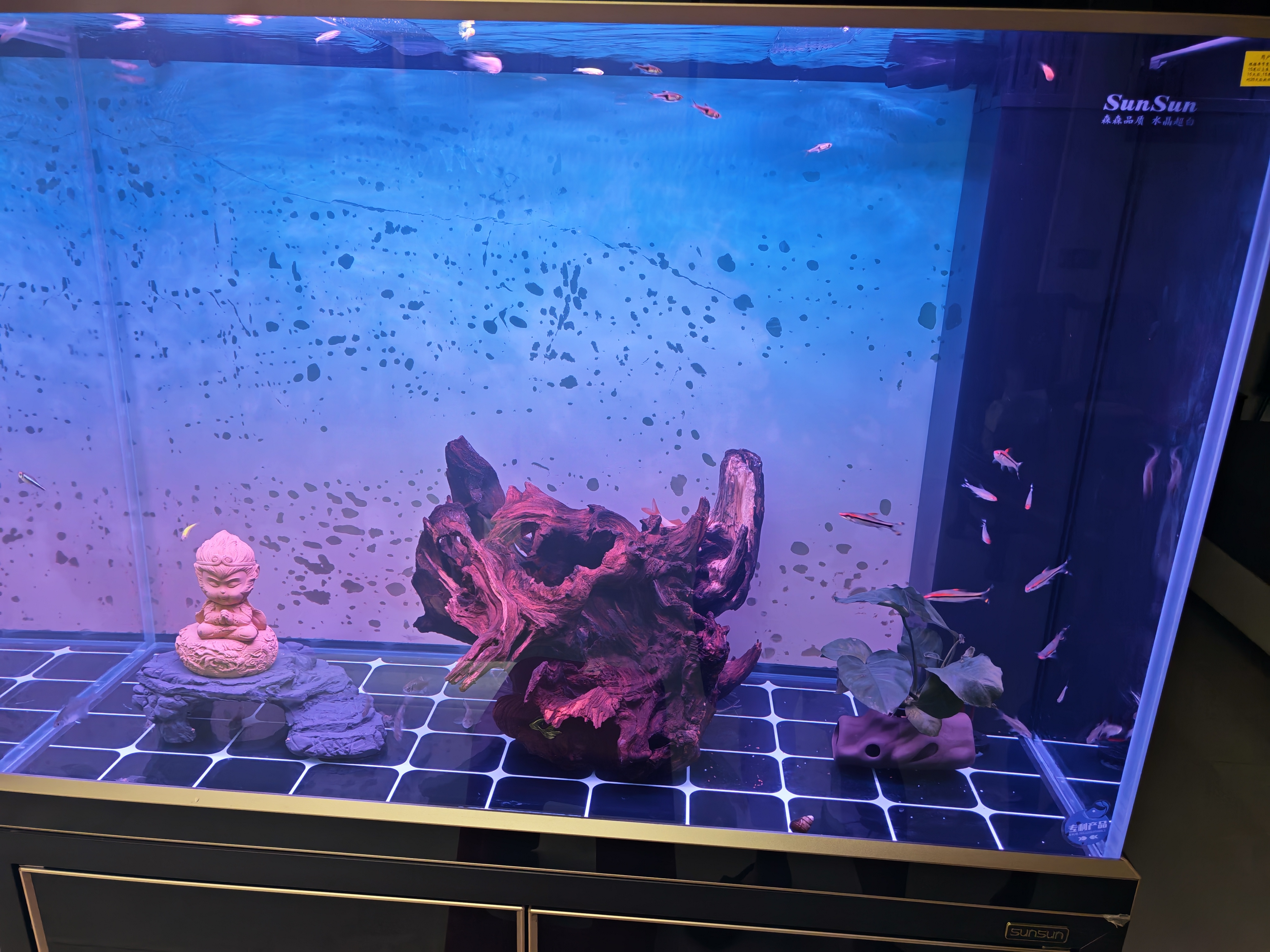 森森（SUNSUN）大型鱼缸底过滤水族箱客厅家用落地玻璃生态金鱼缸 超白款升级底滤 1米长42cm宽（黑白灰可选） 实拍图