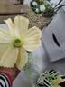 爱已装糖仿真花假花假绿植花瓶插花diy花束塑料花客厅摆件装饰花格桑花1束 实拍图