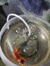 坤宁王鱼缸增氧泵超静音氧气泵养鱼打氧机家用小型充氧泵大气量加氧3W 实拍图