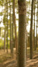适马（SIGMA）56mm F1.4 DC DN｜Contemporary 半画幅大光圈定焦镜头 人像特写（适马56 f1.4索尼E卡口） 实拍图