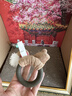 贵为（GiGwi）逗猫玩具木天蓼呼啦圈狐狸磨牙幼猫猫咪自嗨解闷响纸发声逗猫棒 实拍图