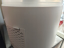新安怡（AVENT）飞利浦新安怡 恒温暖奶器婴儿宝宝奶瓶消毒器柜锅二合一 实拍图