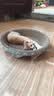 疯狂的主人 猫抓板窝特大号猫玩具猫爪板猫抓盆不掉屑猫窝碗形圆形瓦楞纸 实拍图