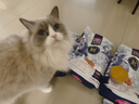 麦富迪猫粮 冻干鲜粮高蛋白成幼猫粮美毛亮毛 三文鱼鸡肉5.4kg 实拍图