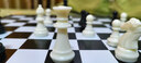 得力（deli）国际象棋磁吸防水折叠棋盘跳棋收纳盒装出游学生儿童益智教学桌游 实拍图