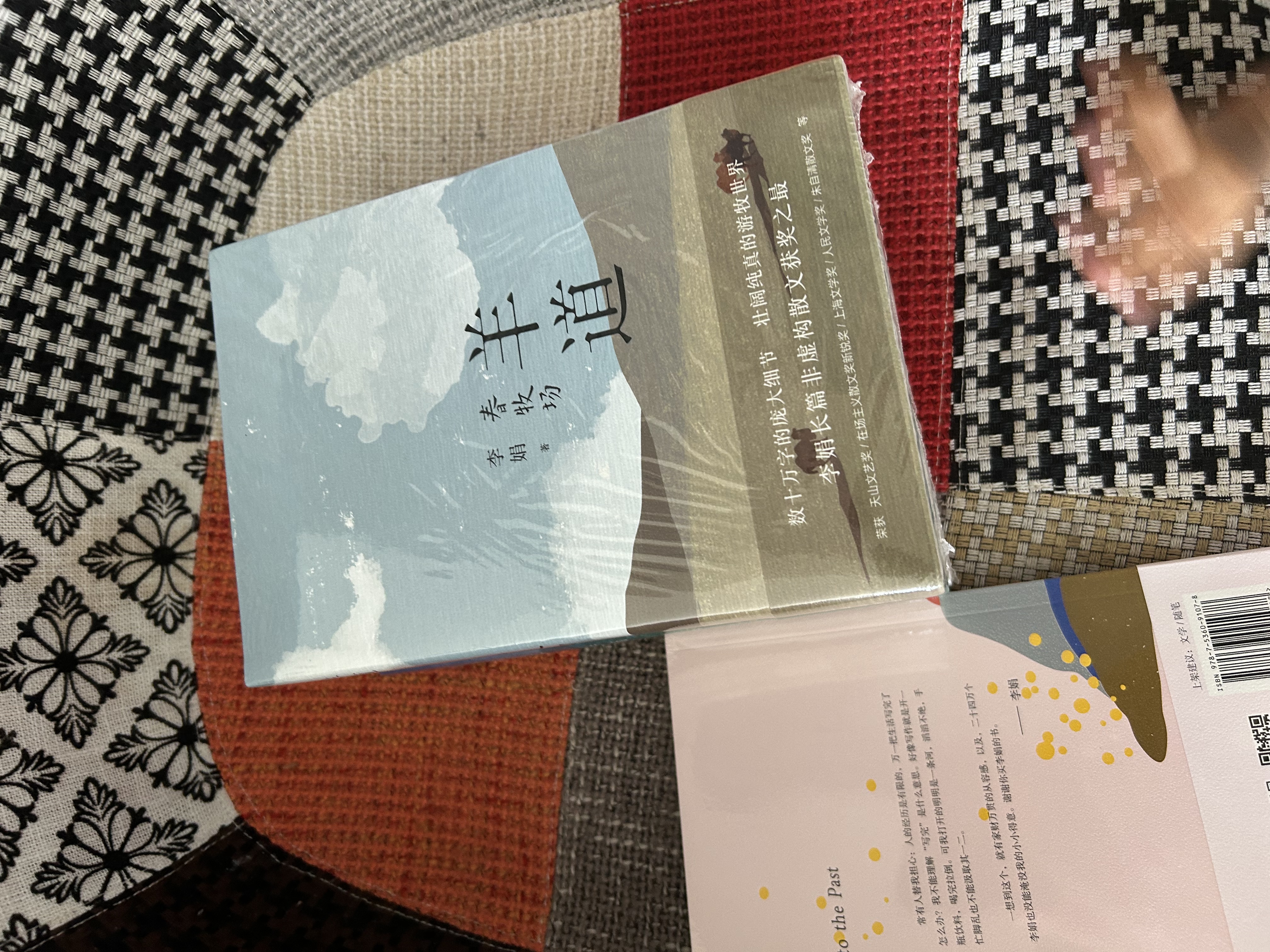 自营包邮 记一忘三二 李娟作品 另著我的阿勒泰羊道三部曲遥远的向日葵地等 实拍图