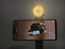 逗映（FUNSNAP）A16手机云台跟拍追踪AI变焦云眼手机自拍杆支架拍照摄影补光直播旅游落地四脚架拍照神器 升级款 实拍图