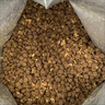 顽皮小金盾100%鲜肉全价成猫粮冻干猫粮100g鸭肉配方 实拍图