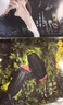 生命的故事 第1-3辑30册儿童绘本3-6岁幼儿园推荐少儿百科全书小自然昆虫故事书儿童科普绘本儿童节礼物 实拍图