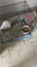 喜帅兔子提摩西草 精选烘干北提提草龙猫兔粮荷兰猪主粮磨牙零食500g 实拍图